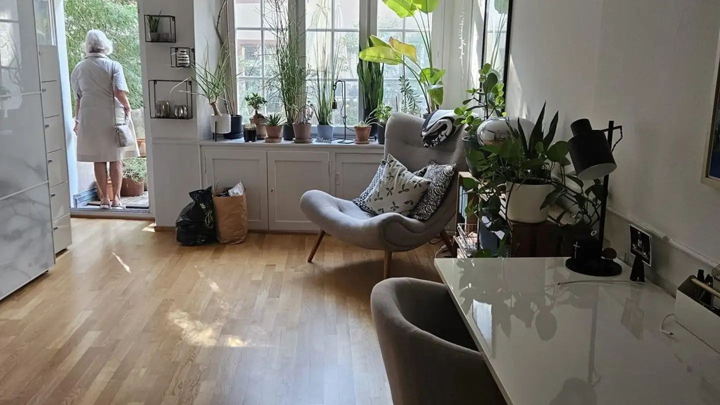 Apartment for rent - Schneidergasse 30, 4051 Basel