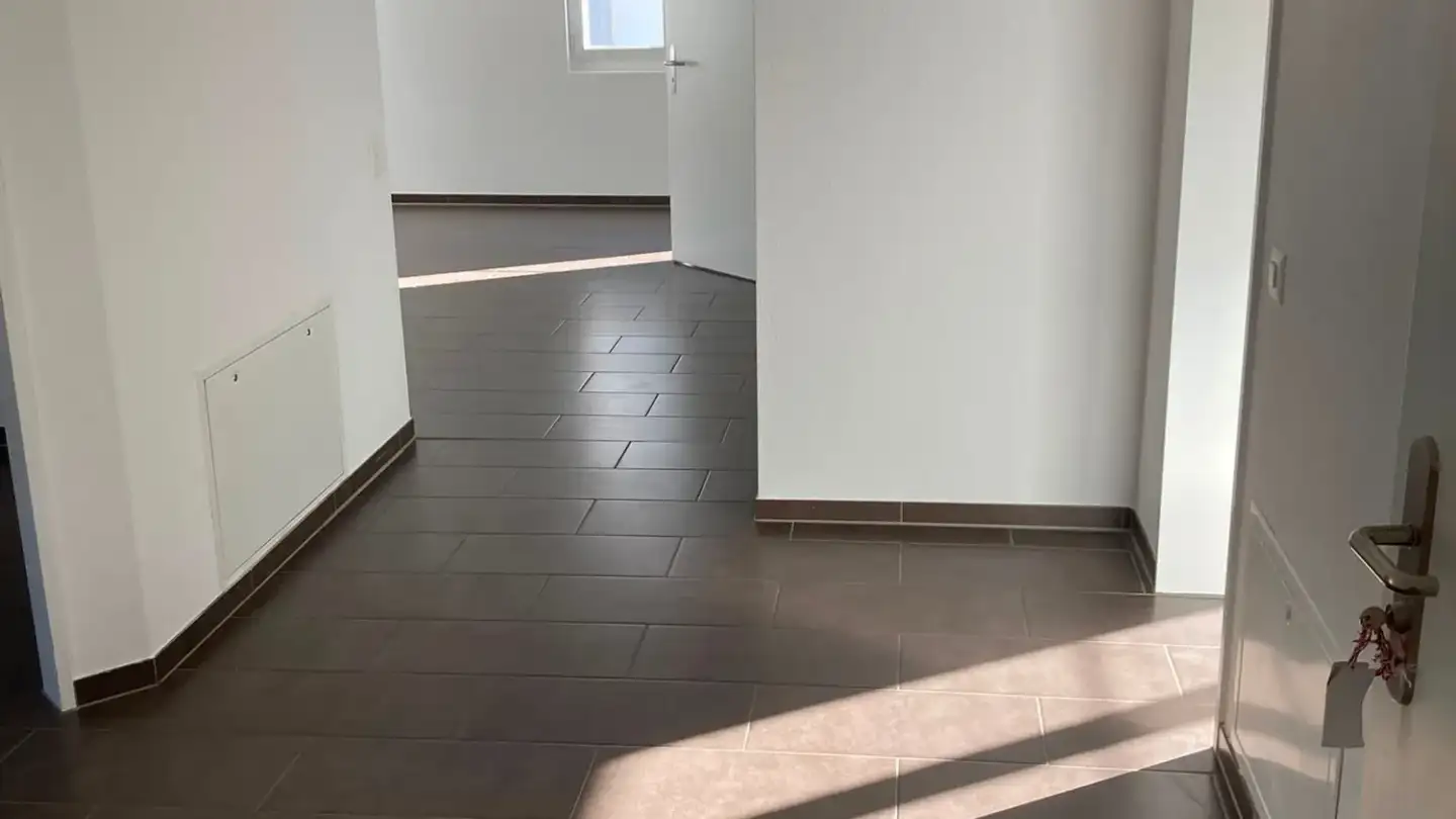 Duplex à louer - Bächelweg 3, 8156 Oberhasli - Photo 2