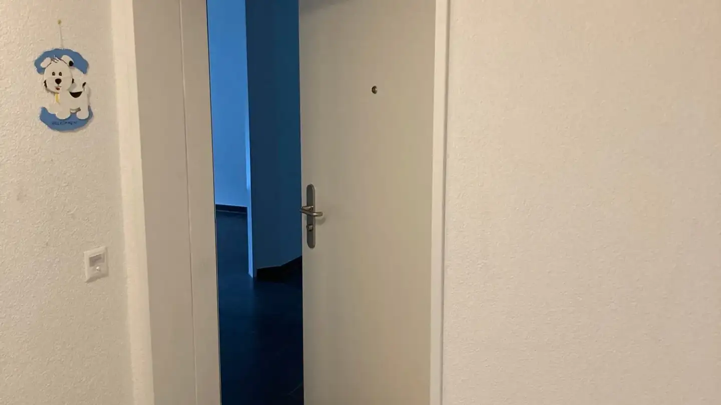 Duplex à louer - Bächelweg 3, 8156 Oberhasli