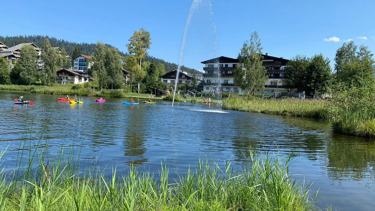 Appartement à vendre - Via Principala 67a, 7031 Laax GR