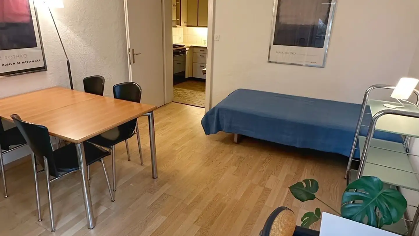 Appartement à louer - Winzerstrasse 60, 8049 Zürich - Photo 2