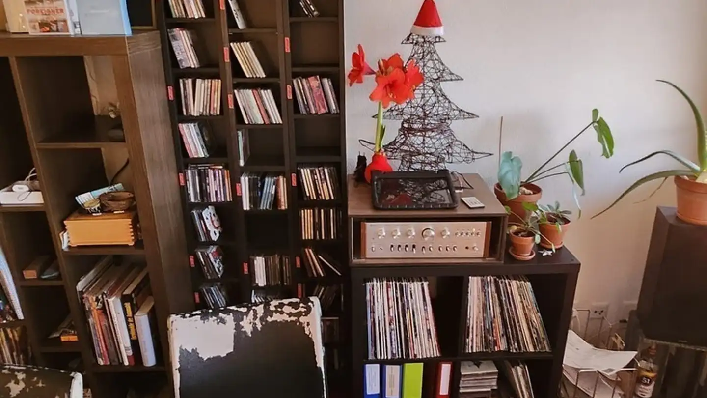 Stanza singola in affitto - Alte Hedingerstrasse 25b, 8910 Affoltern am Albis - Photo 4