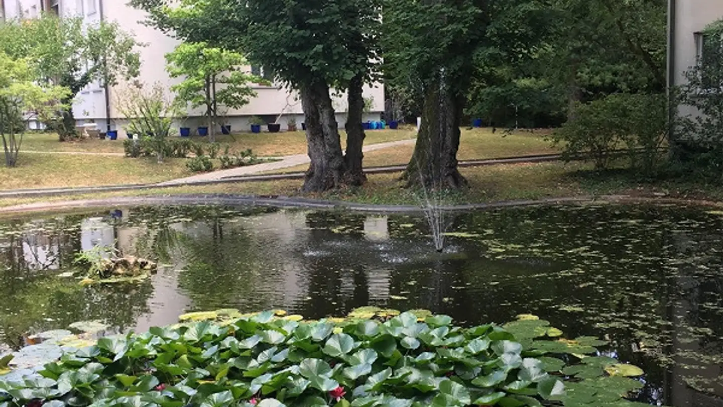 Wohnung mieten - Gellertpark 2, 4052 Basel