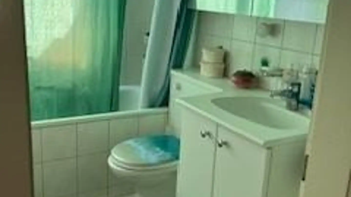 Wohnung mieten - Gellertpark 2, 4052 Basel - Foto 4