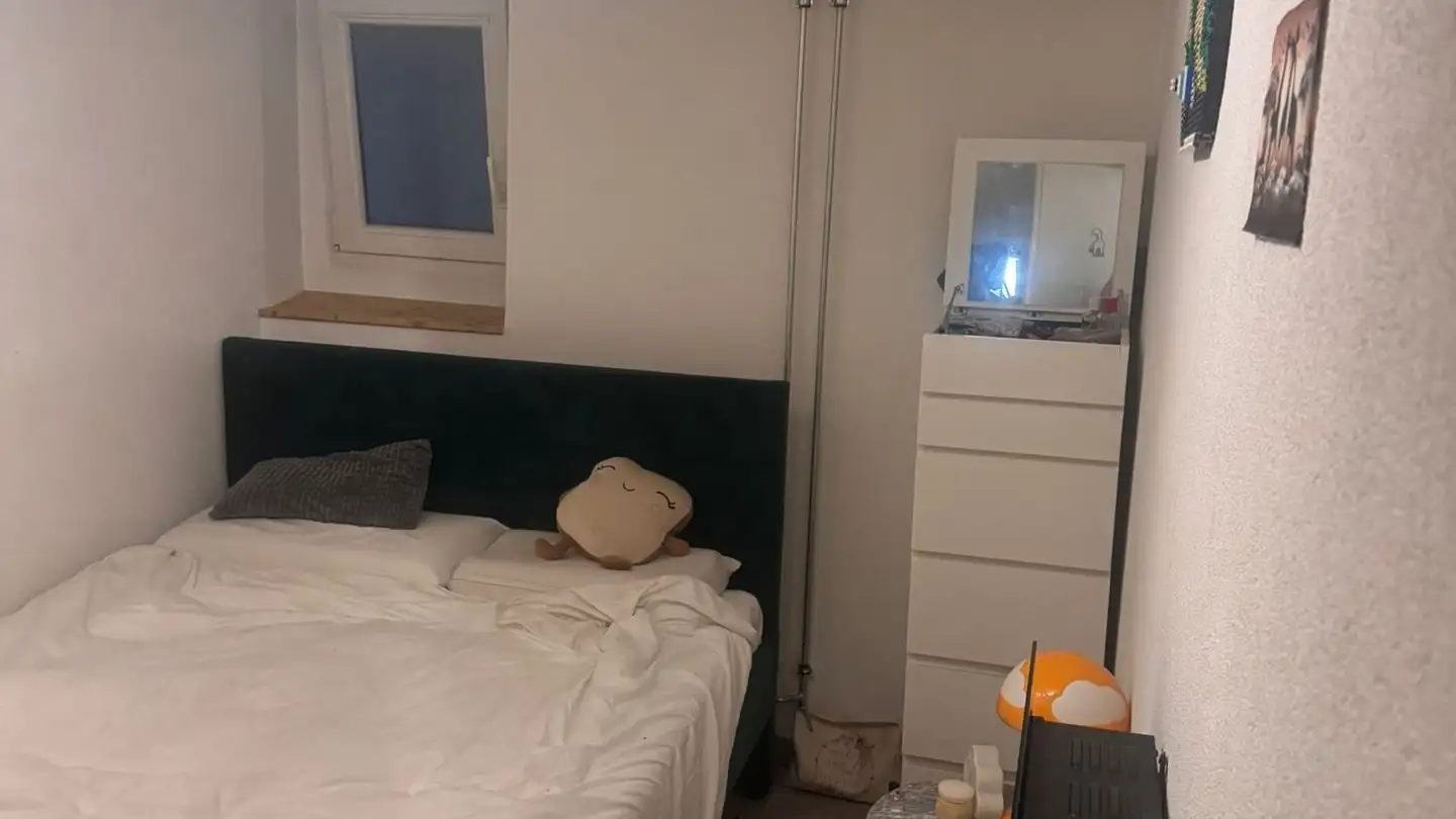 Wohnung mieten - Rue De La Grand-Fontaine, 1700 Fribourg - Foto 4