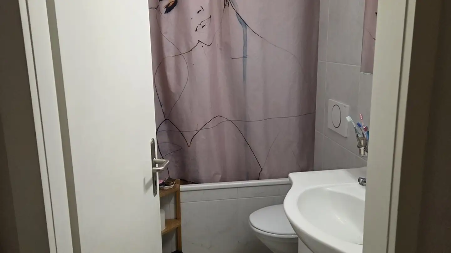 Chambre à louer - Schaufelbergerstrasse 65, 8055 Zürich - Photo 2