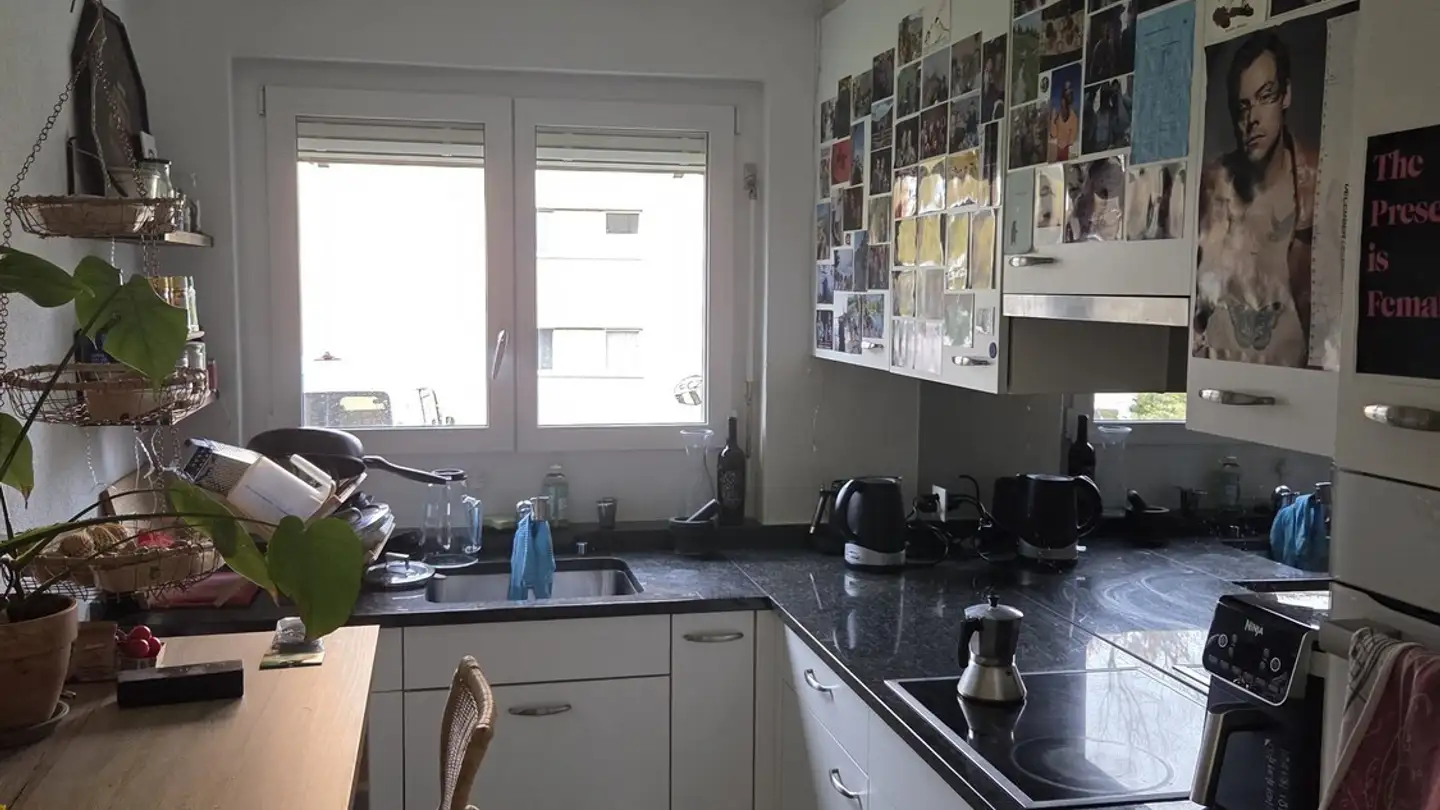 Chambre à louer - Schaufelbergerstrasse 65, 8055 Zürich - Photo 4