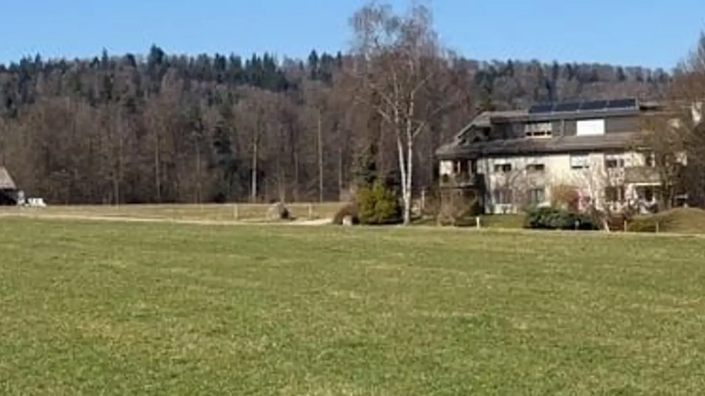 Duplex à vendre - Mülihalde 68, 8484 Weisslingen - Photo 2