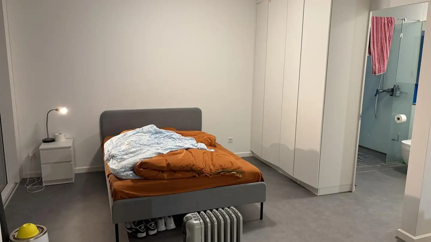 Apartment for rent - Neunbrunnenstrasse 52, 8050 Zürich - Photo 3