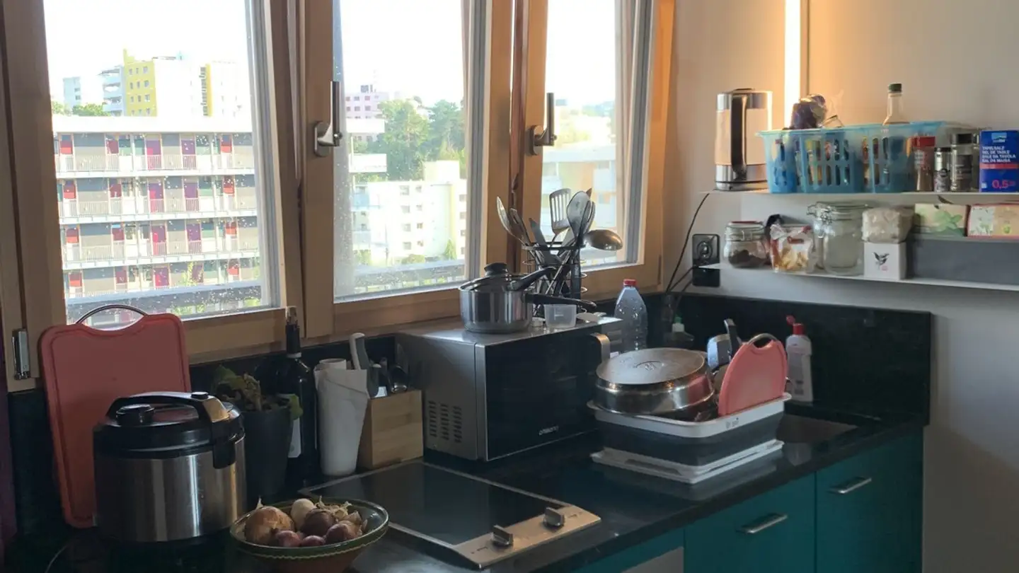 Furnished apartment for rent - 8952 Schlieren - Photo 4
