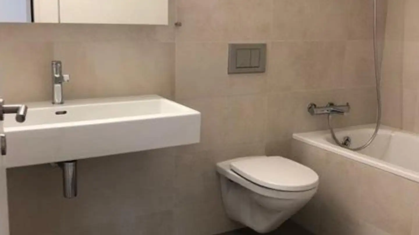 Appartamento in affitto - In Der Au 49, 8706 Meilen - Foto 3