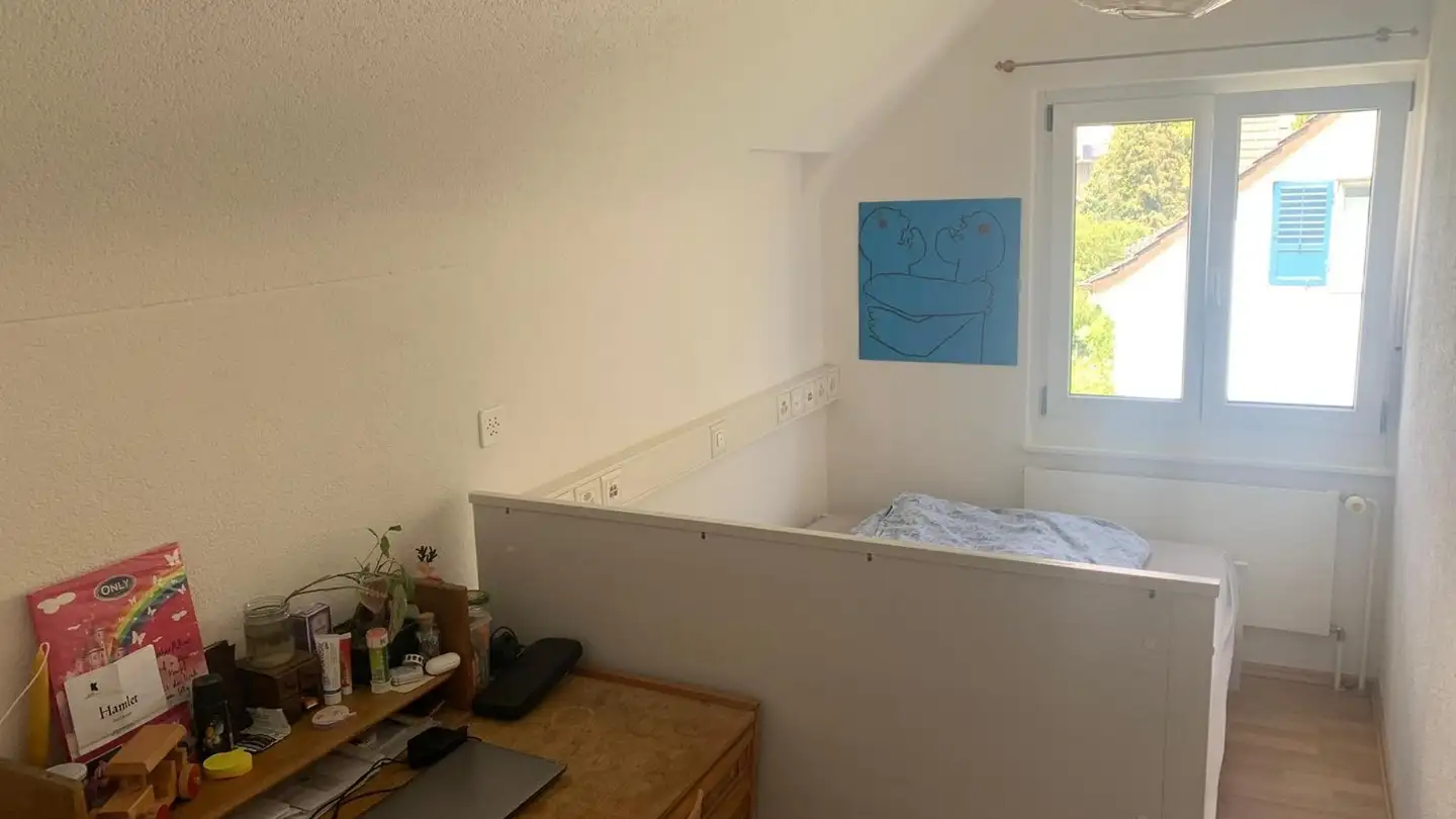 Stanza singola in affitto - 8050 Zürich