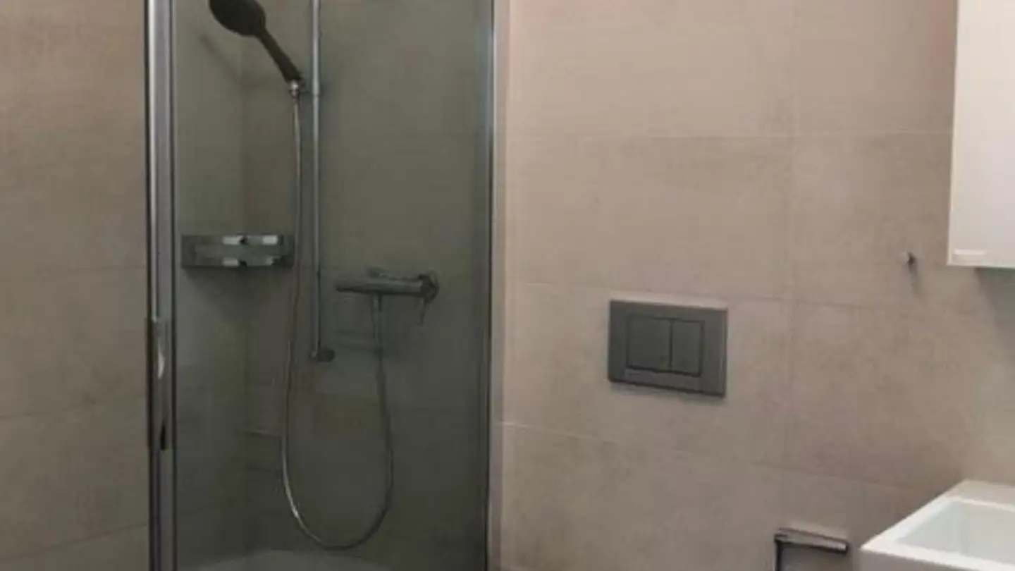 Appartamento in affitto - In Der Au 49, 8706 Meilen - Foto 4