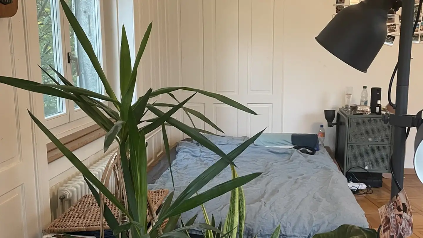 Stanza singola in affitto - Sonnenstrasse 34, 9000 St. Gallen - Photo 3