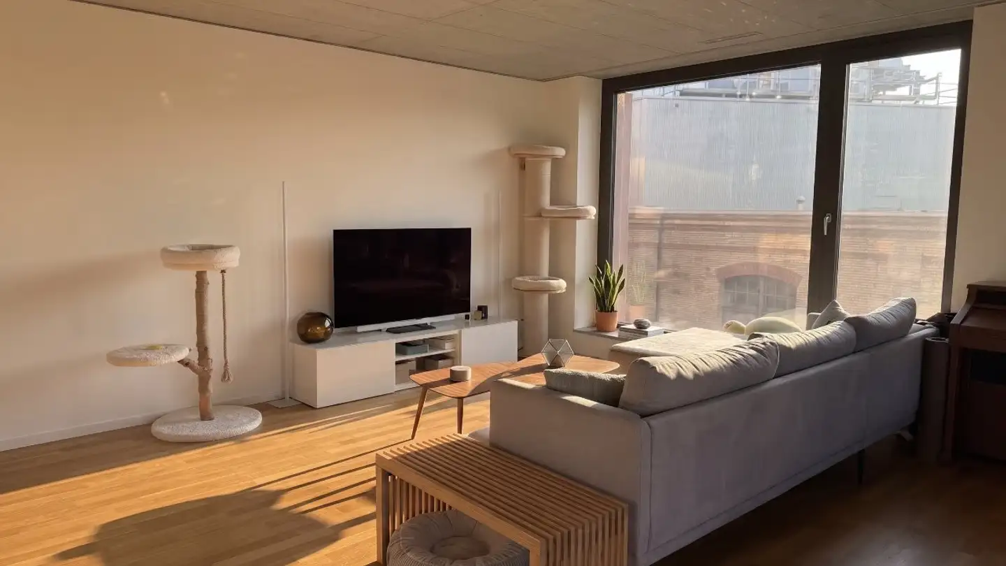 Appartamento in affitto - Bahnmeisterweg, 8400 Winterthur