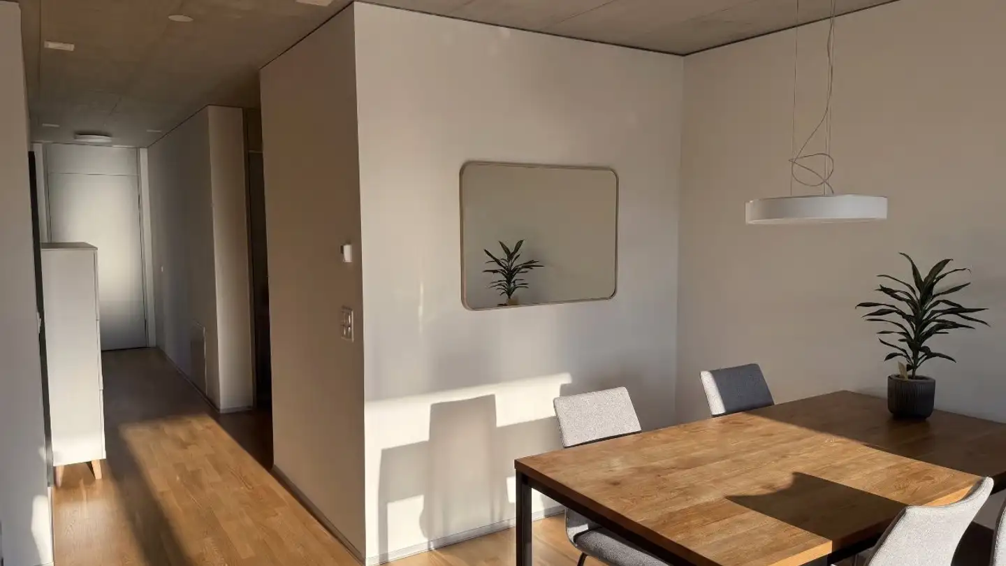Appartamento in affitto - Bahnmeisterweg, 8400 Winterthur - Foto 2