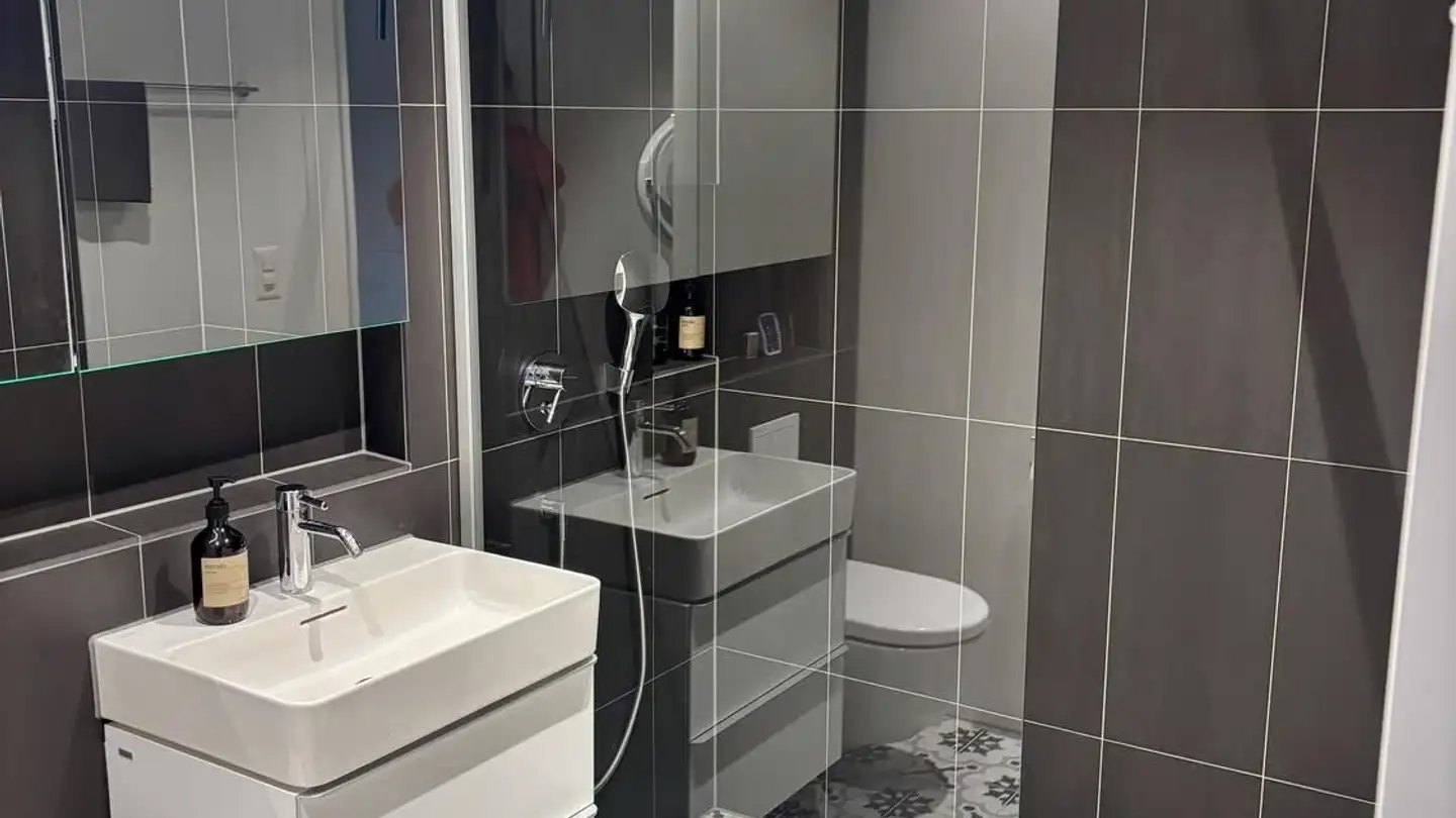 Appartamento ammobiliato in affitto - Eibenstrasse 20, 8045 Zürich - Foto 4
