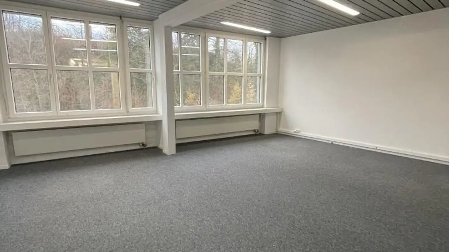 Commerciale in affitto - Rorschacher Strasse 292, 9016 St. Gallen - Foto 3