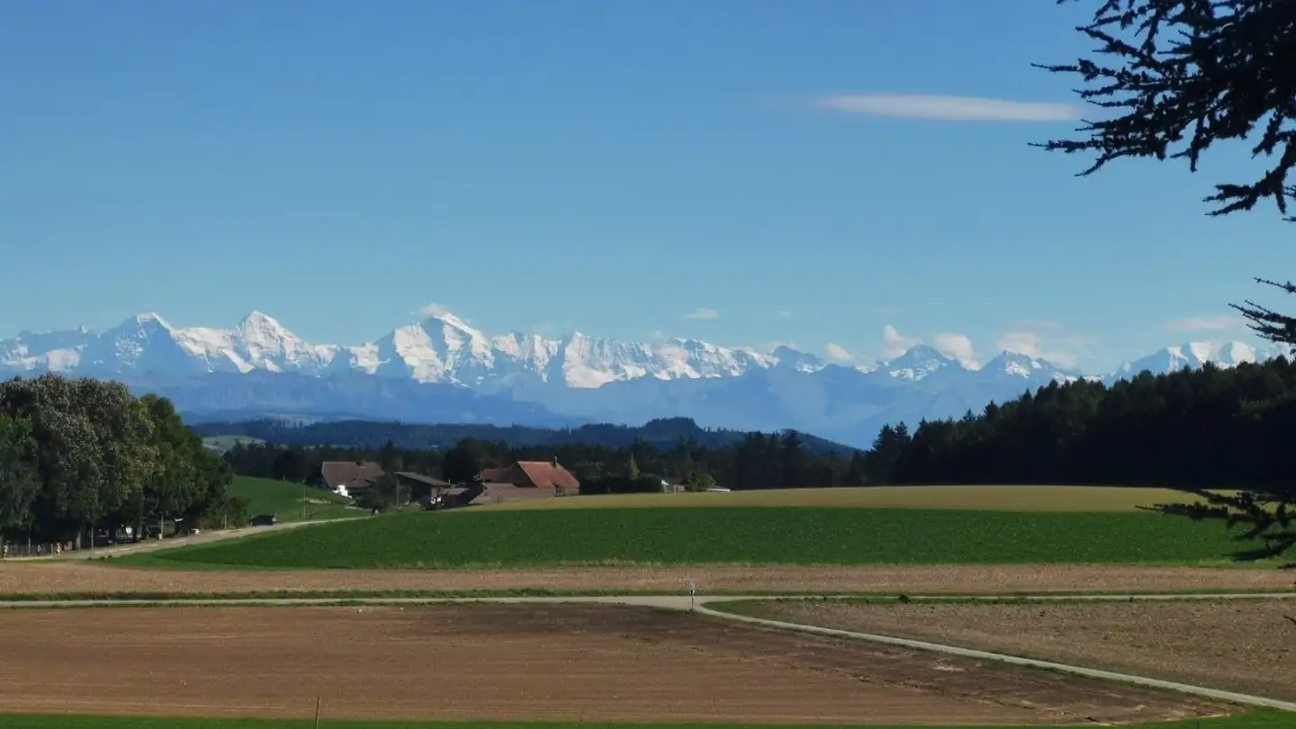 Stanza singola in affitto - Weierweg, 3053 Münchenbuchsee - Photo 3
