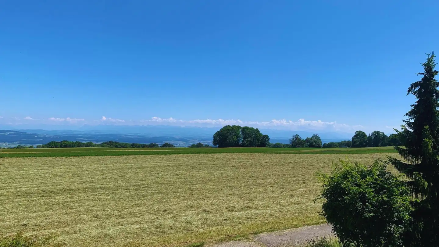 Appartamento in vendita - Chemin Des Alouettes 10, 2515 Prêles - Photo 4