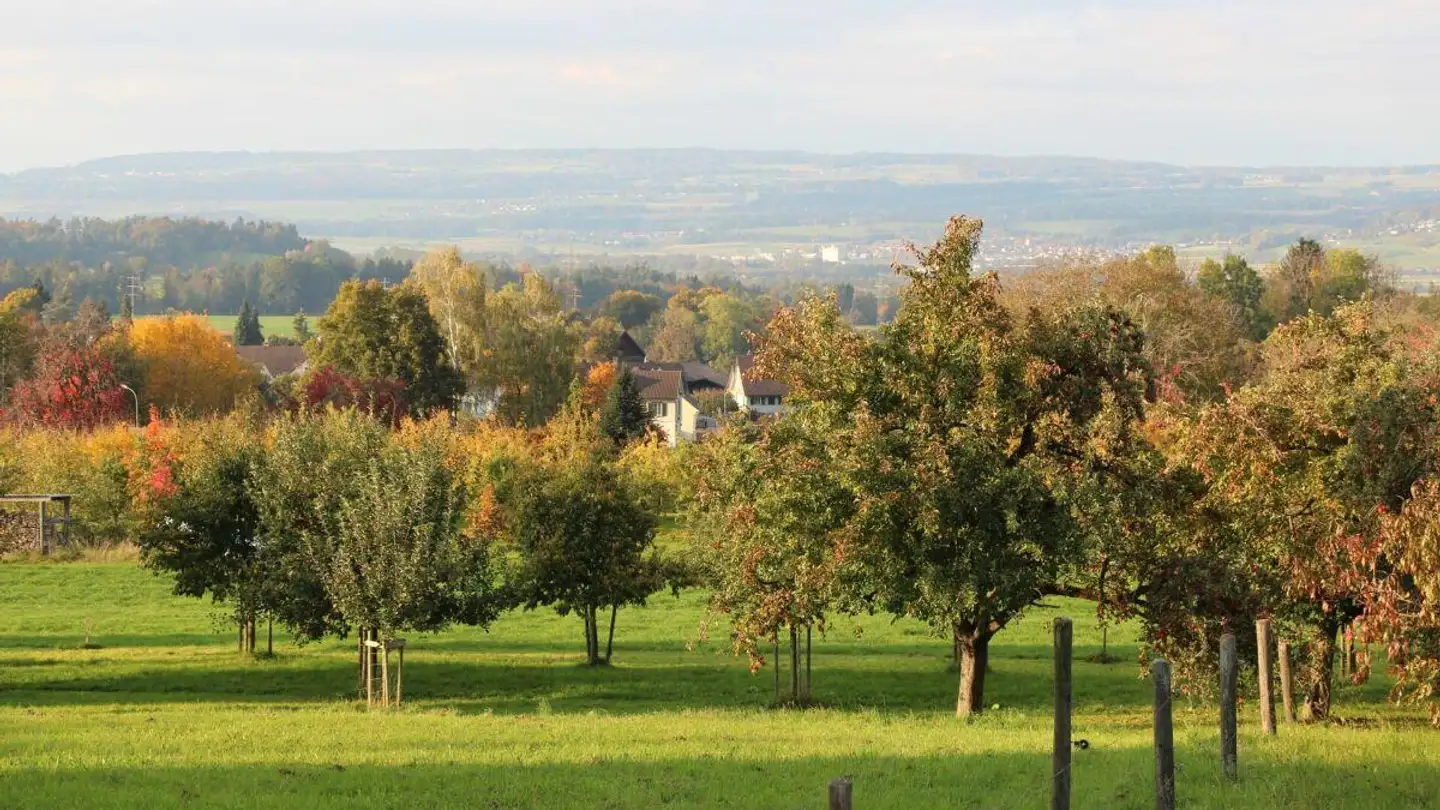 Terreno edificabile in vendita - Weingarten 43, 9504 Friltschen - Photo 2