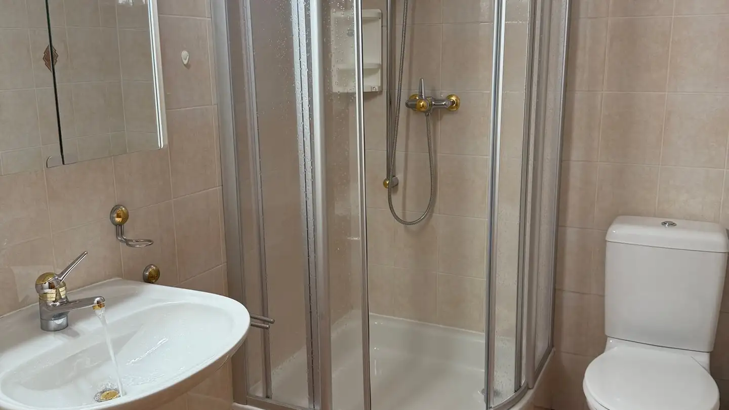 Maison individuelle à vendre - 6563 Mesocco - Photo 4