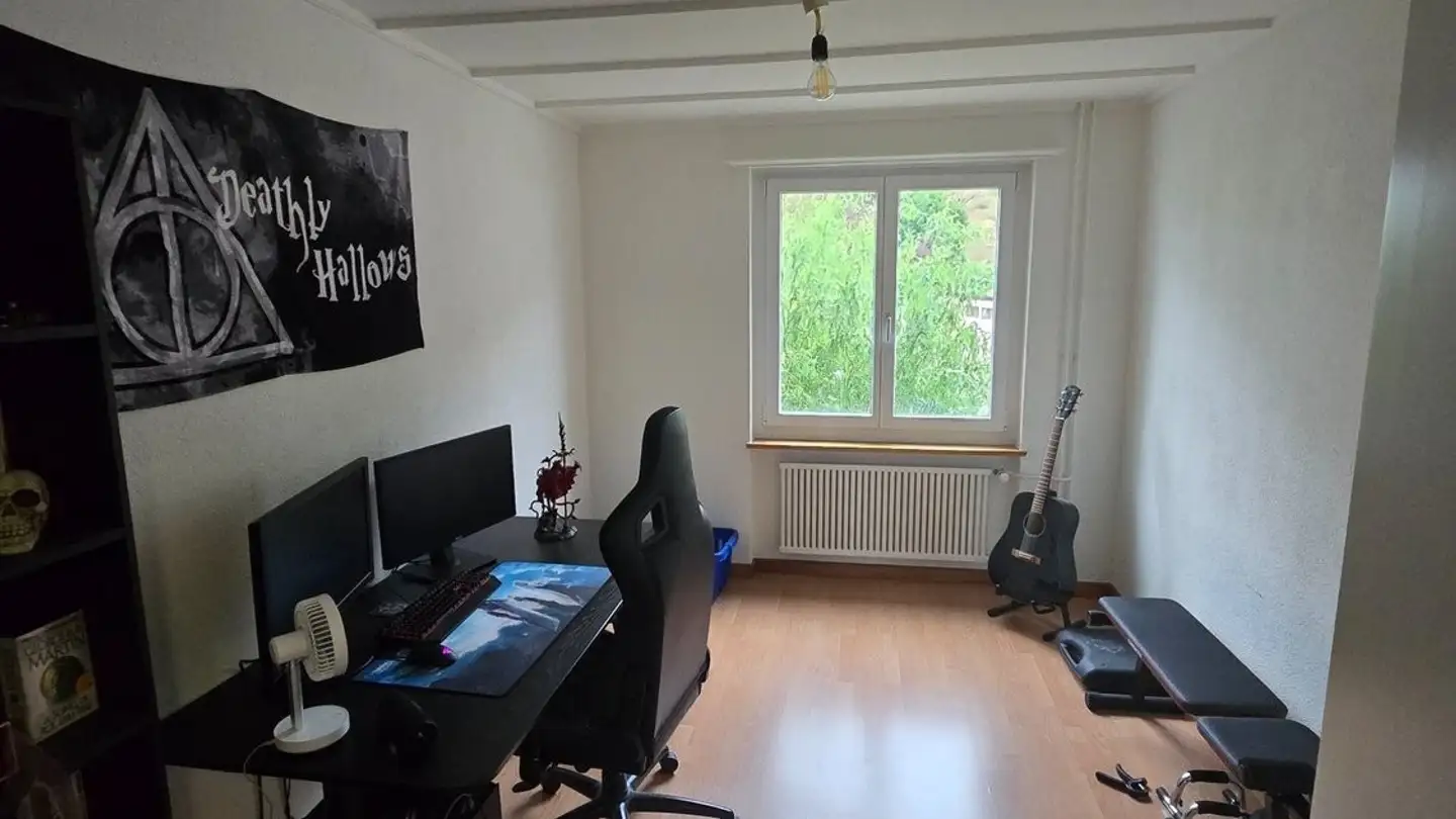 Appartamento in affitto - Dammweg 6, 5000 Aarau - Photo 2