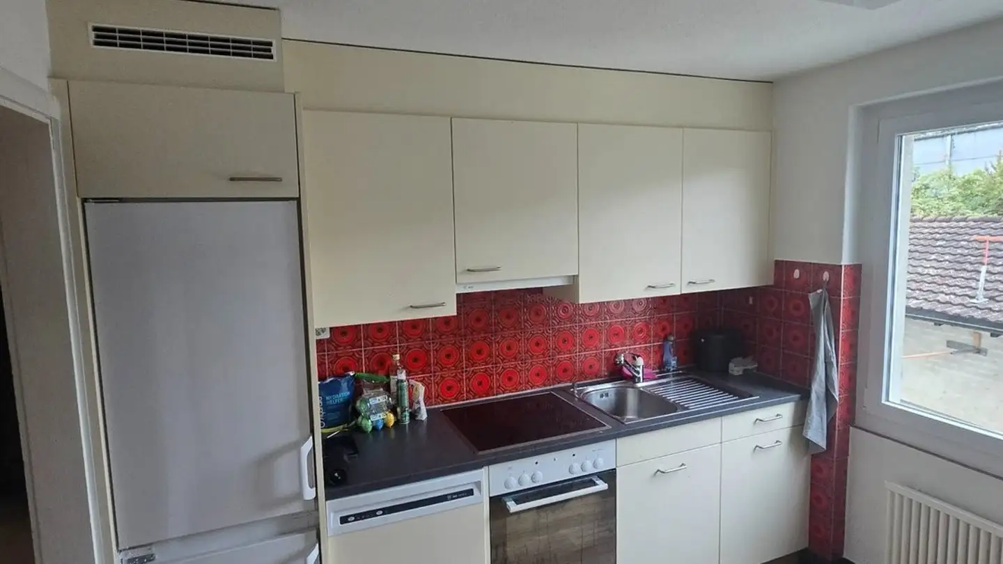 Appartamento in affitto - Dammweg 6, 5000 Aarau - Photo 3