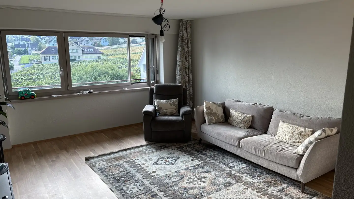 Furnished apartment for rent - Schlossbergstrasse 5b, 8820 Wädenswil