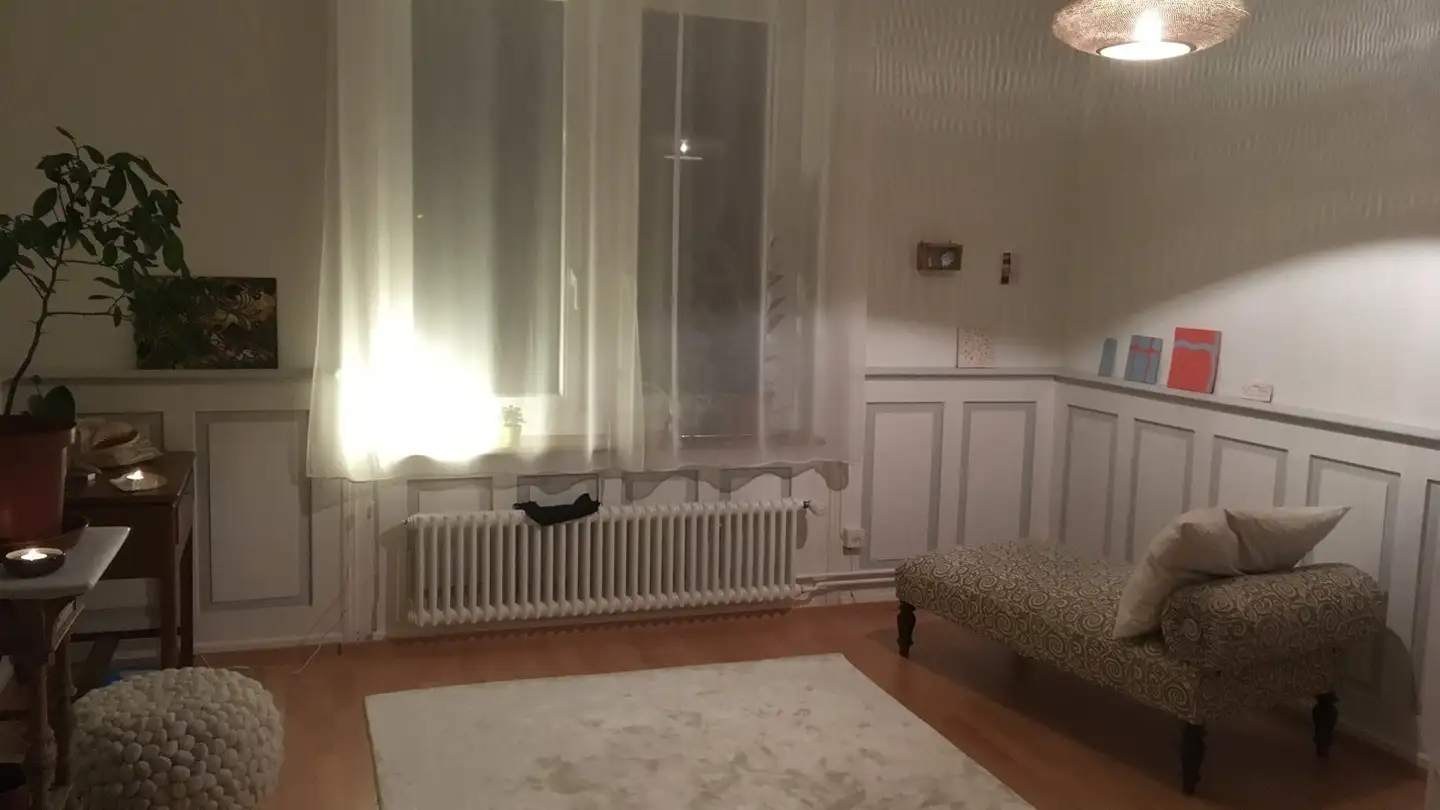 Chambre à louer - Palmstrasse 37, 8400 Winterthur