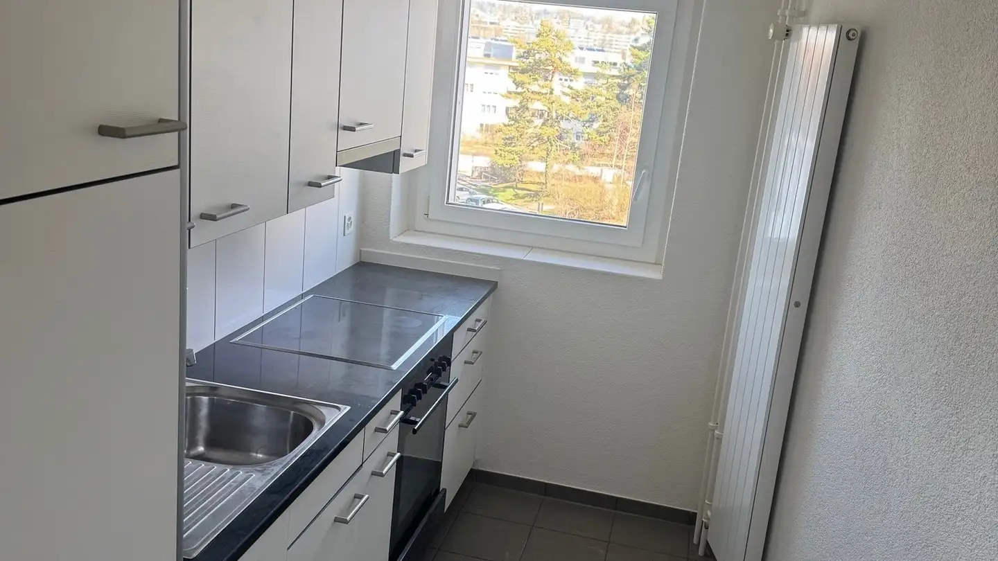 Wohnung mieten - Grosswiesenstrasse 153, 8051 Zürich - Foto 2