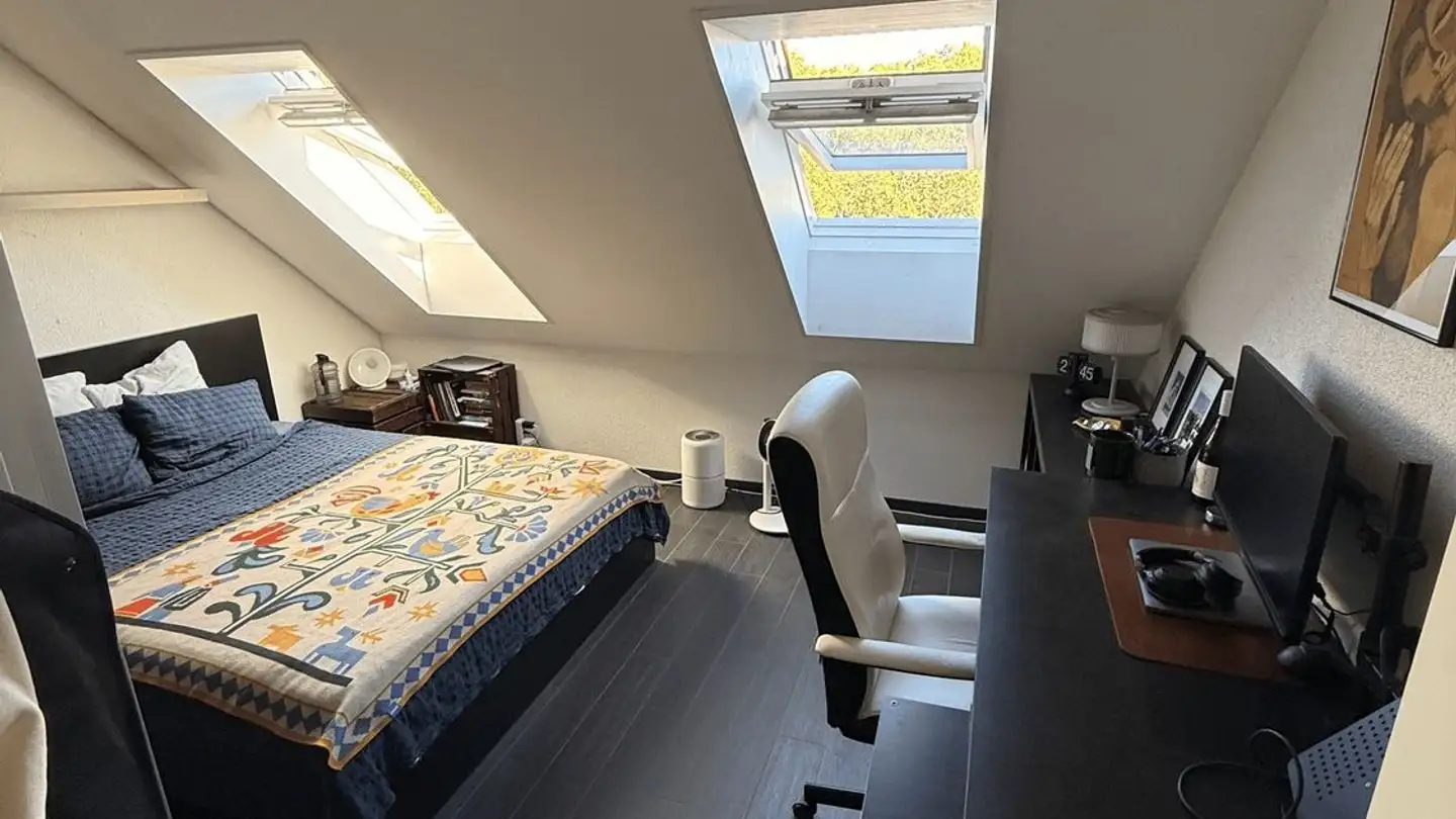 Chambre à louer - Manessestrasse 66, 8003 Zürich
