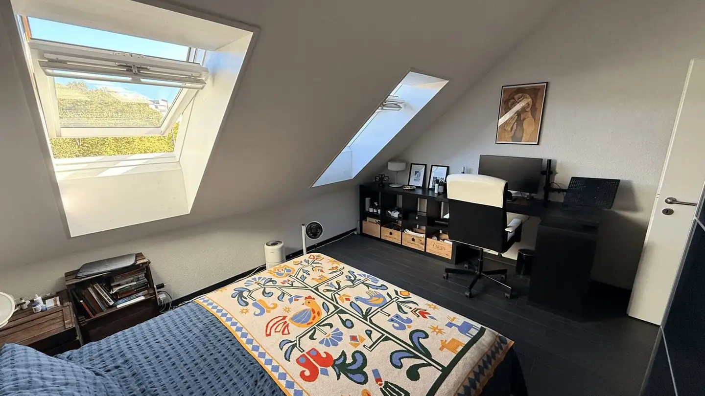 Chambre à louer - Manessestrasse 66, 8003 Zürich - Photo 3
