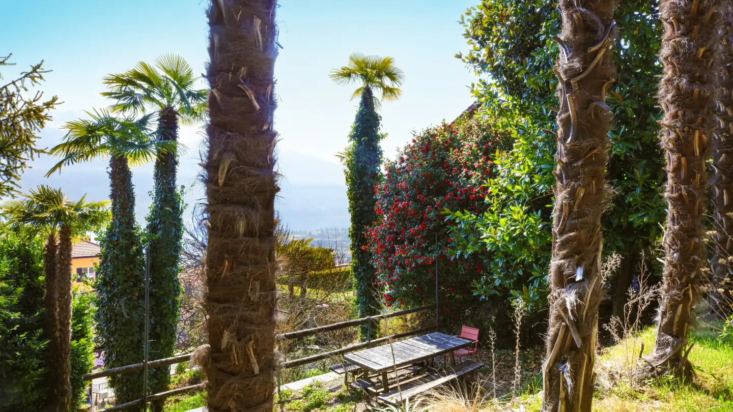 Terreno edificabile in vendita - Via Al Parco, 6644 Orselina - Foto 2