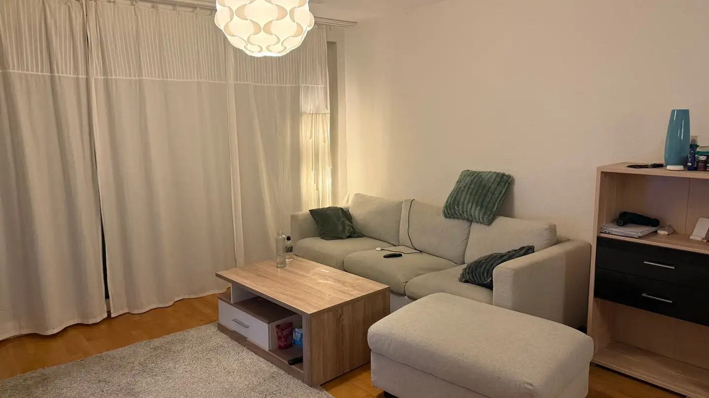 Appartement à louer - Seuzacherstrasse, 8400 Winterthur
