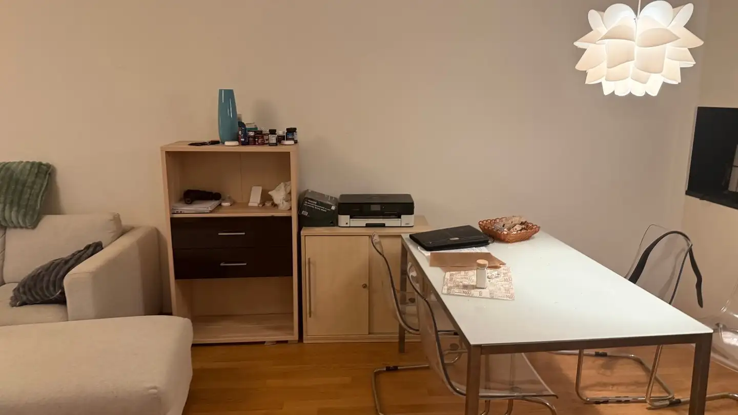 Appartamento in affitto - Seuzacherstrasse, 8400 Winterthur - Photo 2