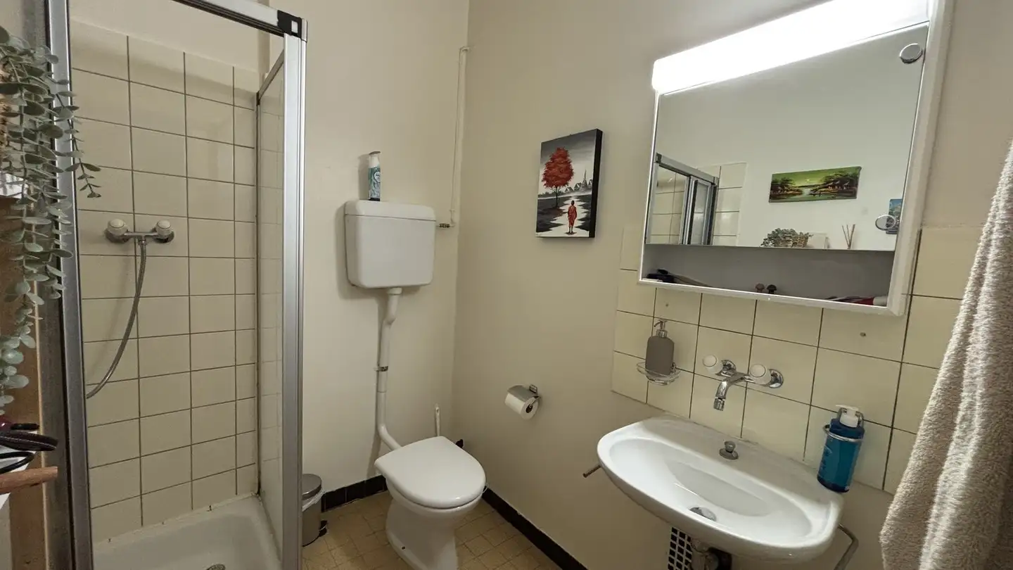 Appartamento in affitto - Rue Des Vollandes, 1207 Genève - Foto 4