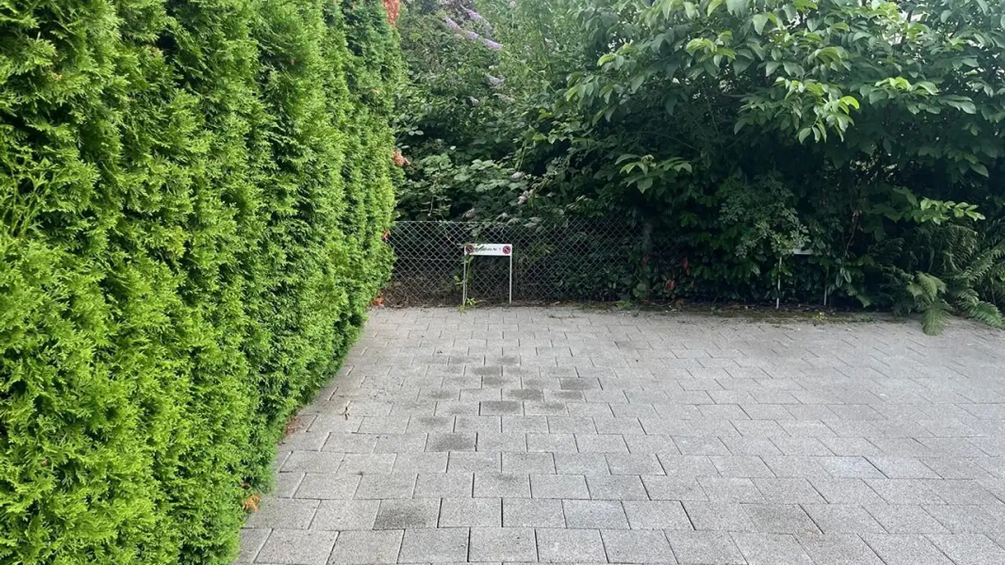 Place de parking extérieure à louer - Brunngasse 38, 3800 Matten b. Interlaken