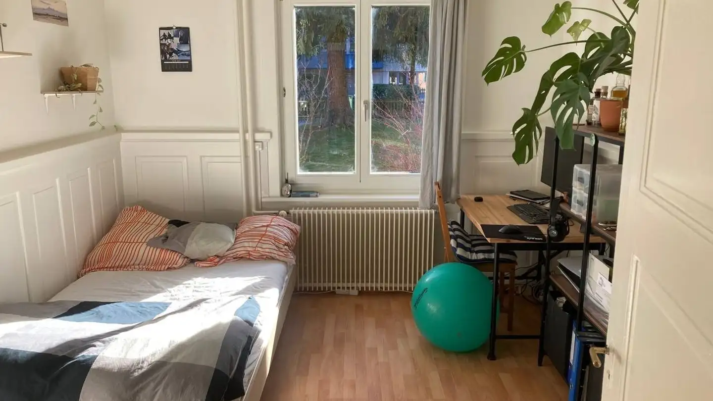 Chambre à louer - Hörnlistrasse 7, 8057 Zürich