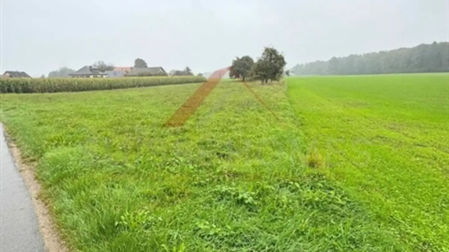 Casa singola in vendita - 3376 Graben - Photo 3