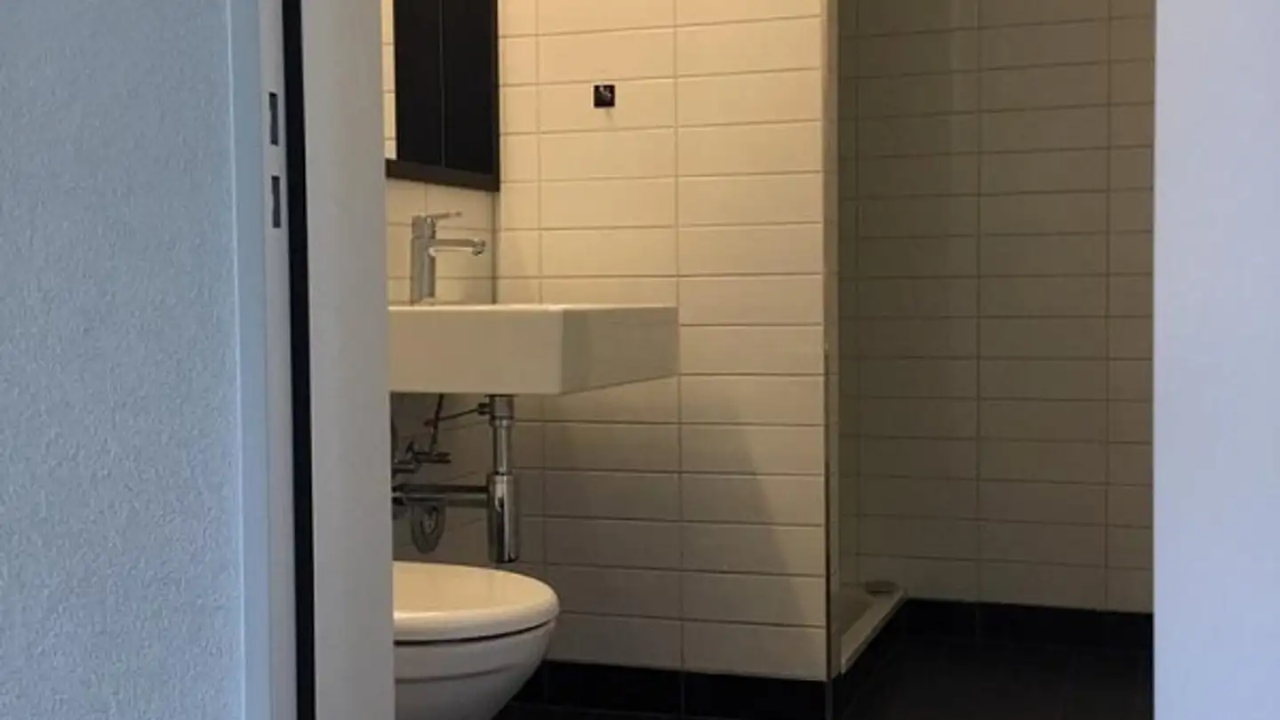 Appartamento in affitto - Dufaux-Strasse 16, 8152 Glattpark (Opfikon) - Foto 4