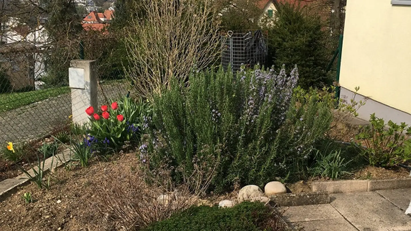 Single house for rent - Auf Den Hallen 2, 4104 Oberwil BL - Photo 3