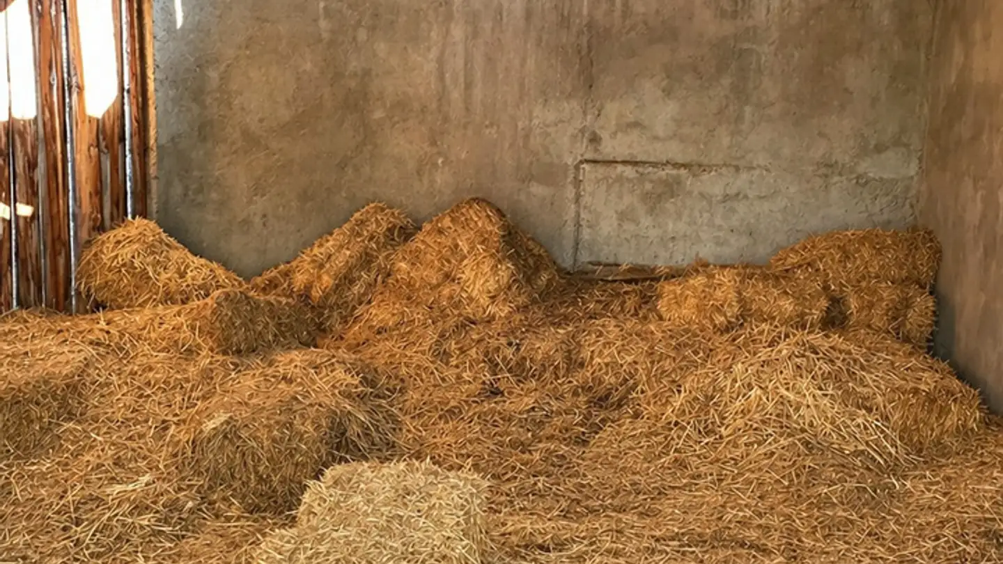 Fattoria in vendita - 3949 Hohtenn - Foto 4