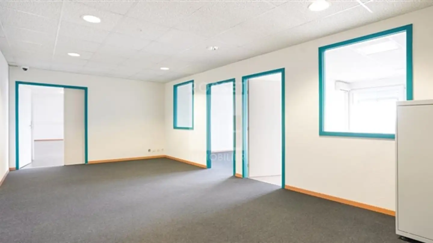 Appartamento in affitto - Chemin Du Champ-Des-Filles 19, 1228 Plan-les-Ouates