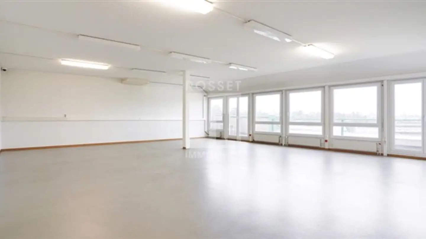 Appartamento in affitto - Chemin Du Champ-Des-Filles 19, 1228 Plan-les-Ouates - Foto 2