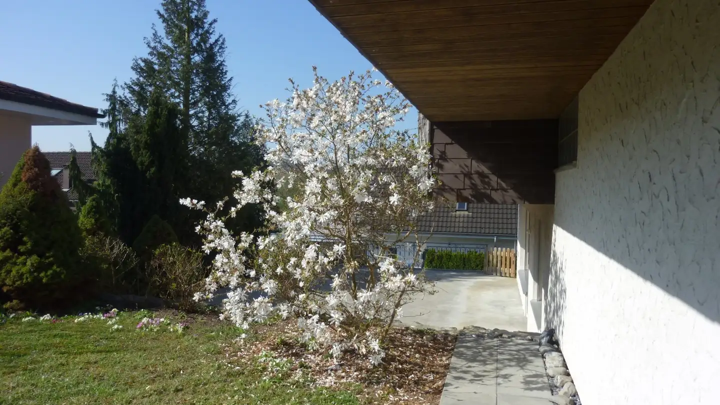 Single house for rent - Im Rebhügel 21, 5445 Eggenwil - Photo 4