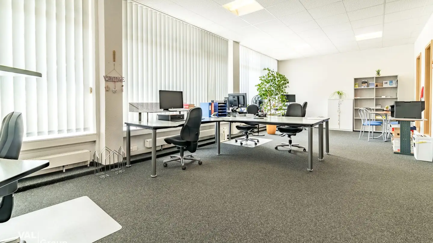 Mischgenutztes Gebäude mieten - Strasse Gstein 8, 3940 Steg VS - Foto 2