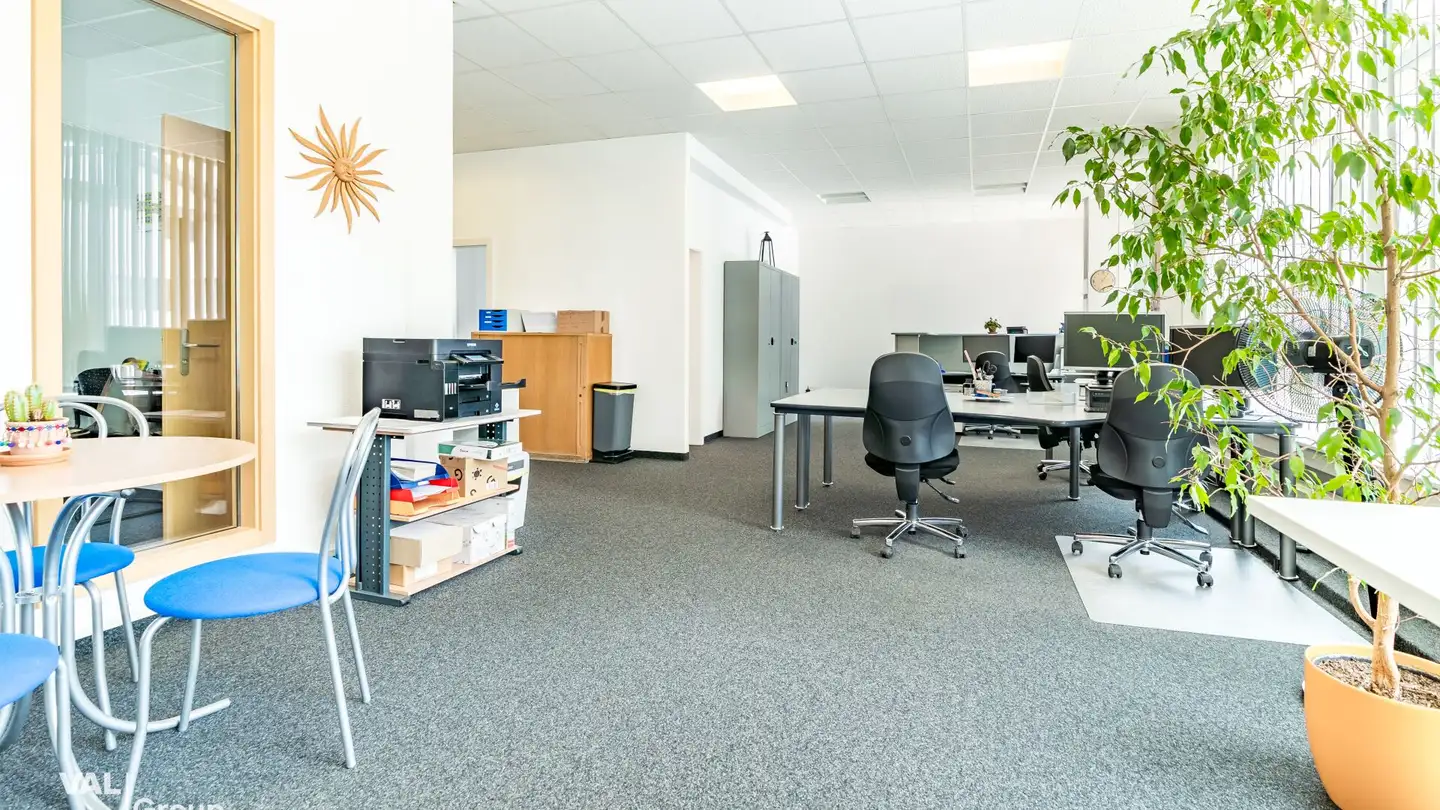 Mischgenutztes Gebäude mieten - Strasse Gstein 8, 3940 Steg VS - Foto 4