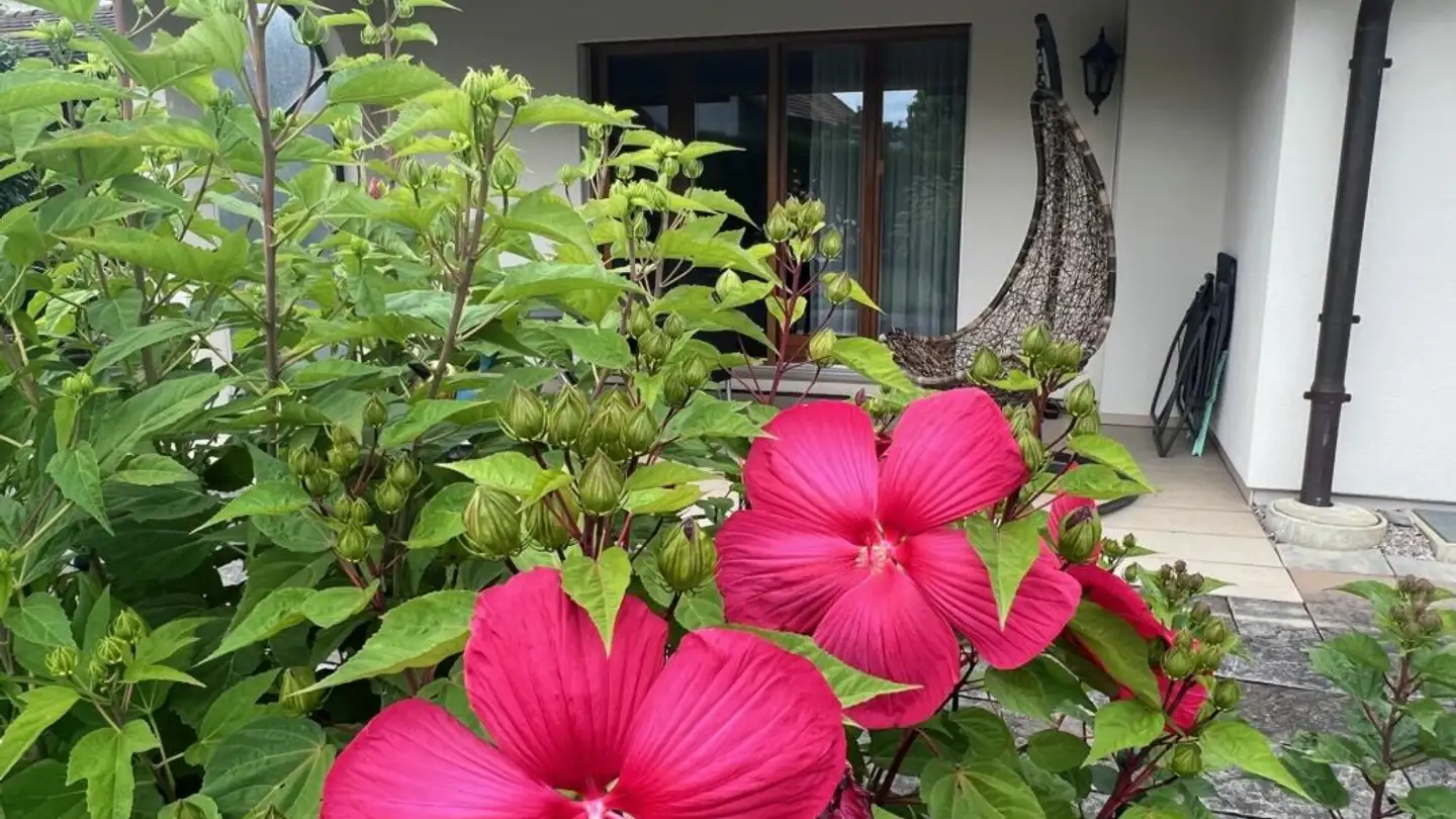 Casa singola in vendita - Liestalerstrasse 19, 4412 Nuglar - Photo 3