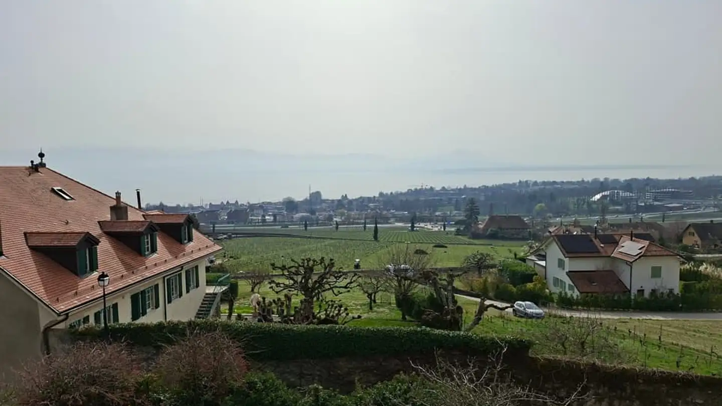 Apartment for rent - Chemin Des Truits 4, 1185 Mont-sur-Rolle